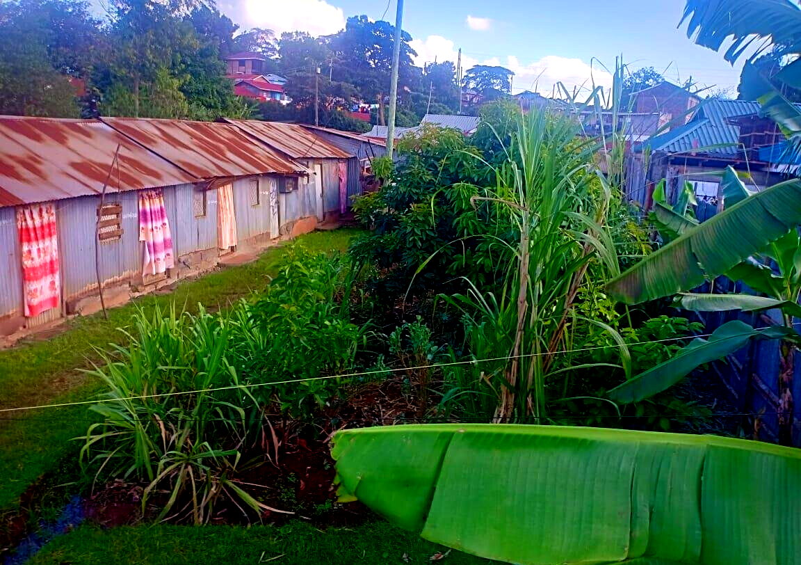 0.15 Acre Plot in Dagoretti Corner