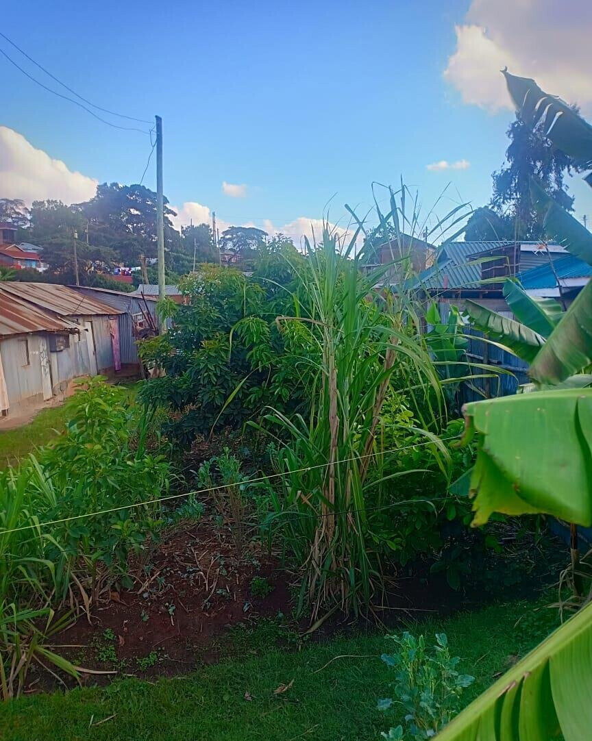 0.15 Acre Plot in Dagoretti Corner