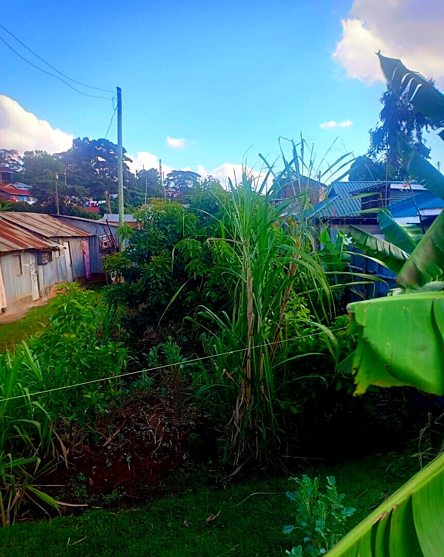 0.15 Acre Plot in Dagoretti Corner