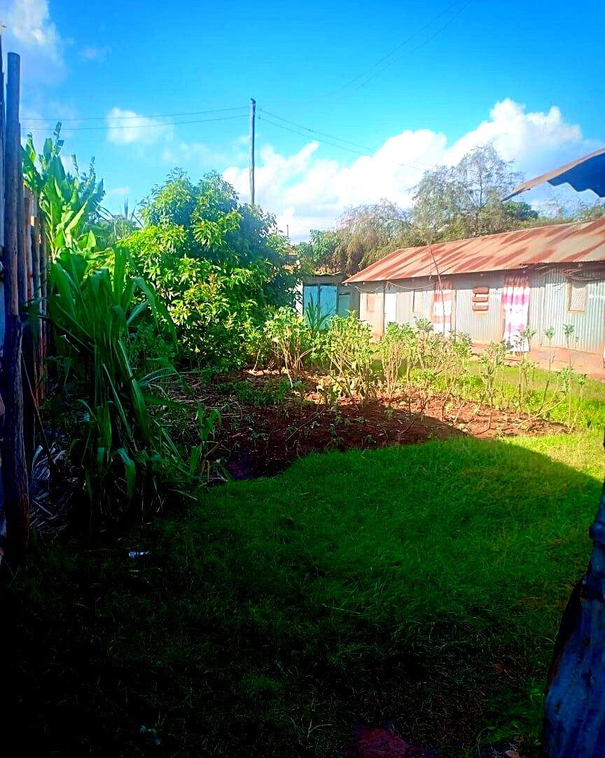 0.15 Acre Plot in Dagoretti Corner