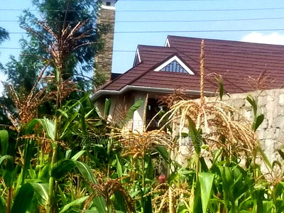 1/2 Acre Kerarapon - Image 4