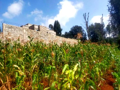 1/2 Acre Kerarapon - Image 3