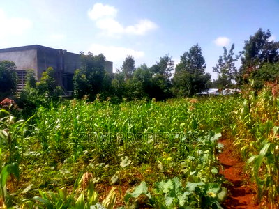 1/2 Acre Kerarapon - Image 1