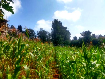 1/2 Acre Kerarapon - Image 5