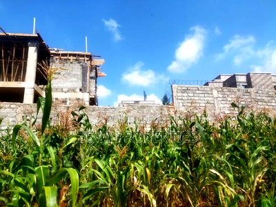 1/2 Acre Kerarapon - Image 2