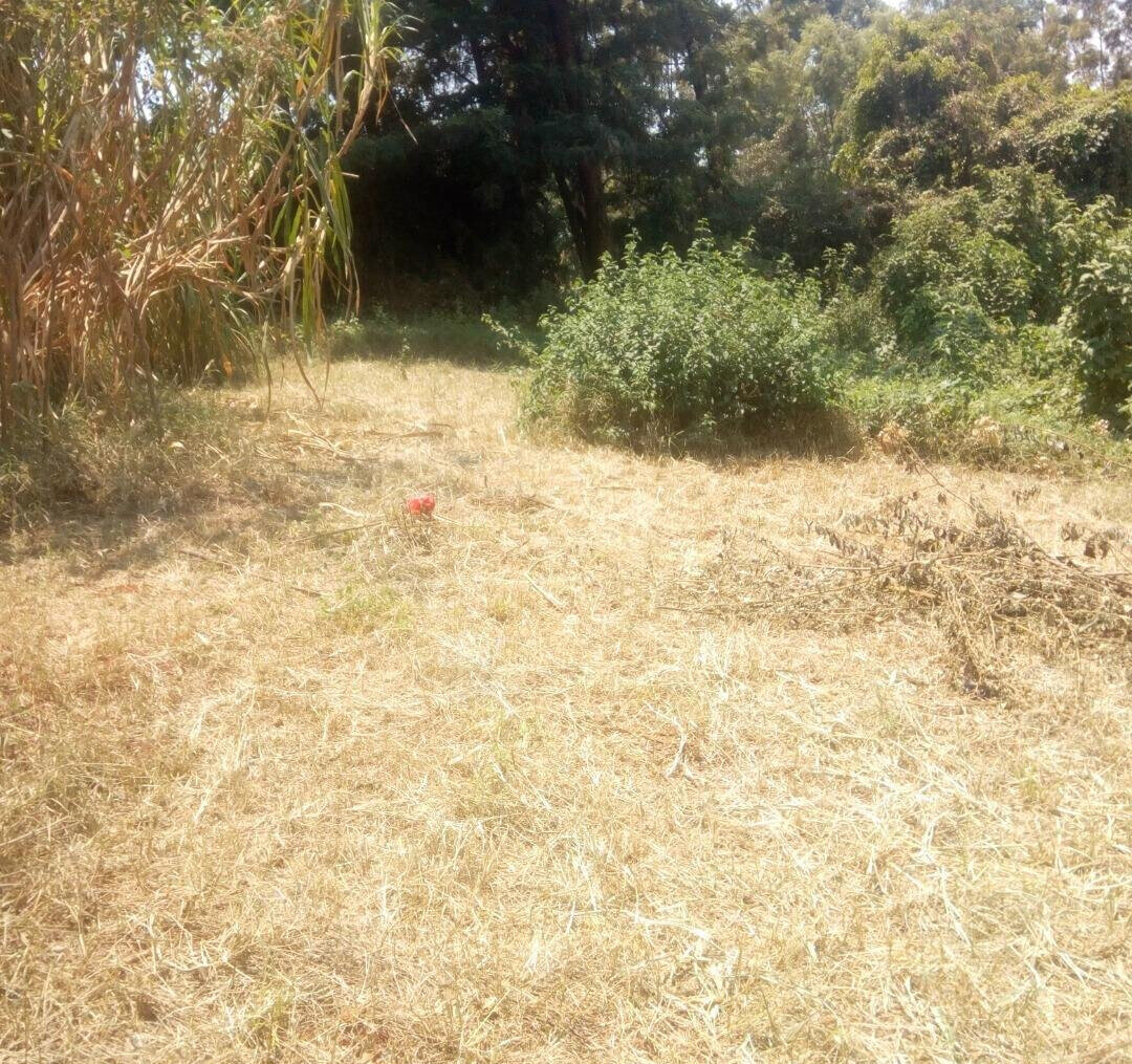 KSh 20M Kinoo Plot