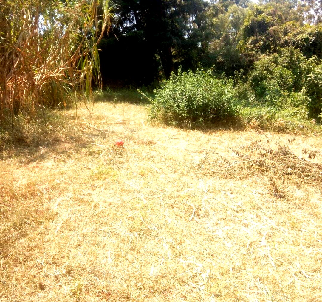 KSh 20M Kinoo Plot