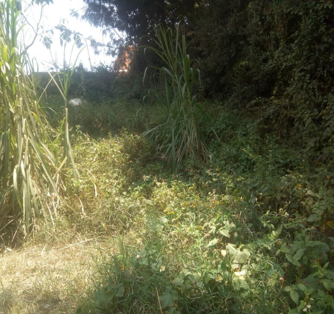 KSh 20M Kinoo Plot