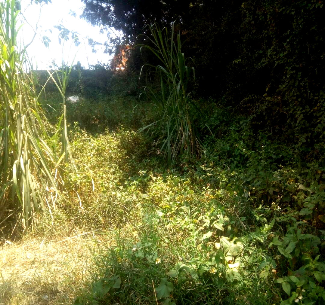 KSh 20M Kinoo Plot