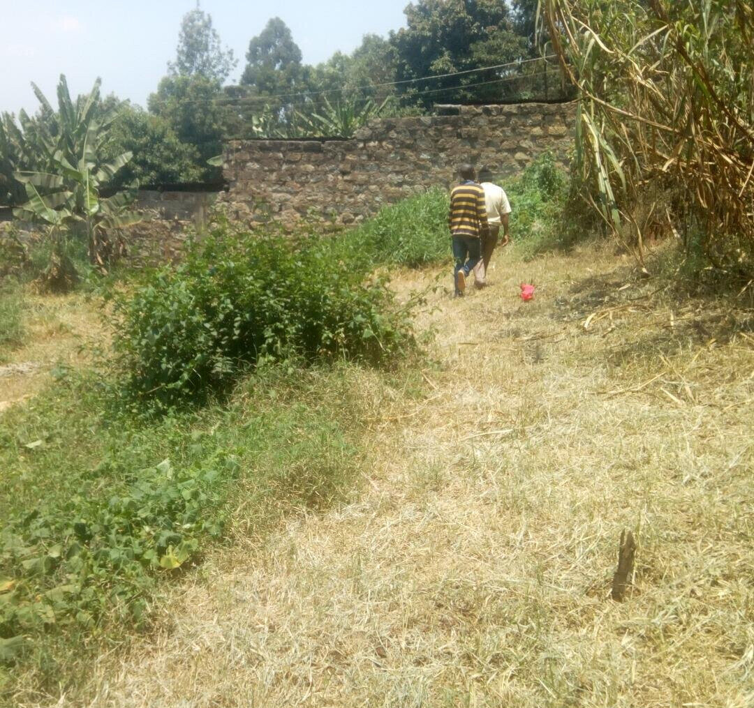KSh 20M Kinoo Plot