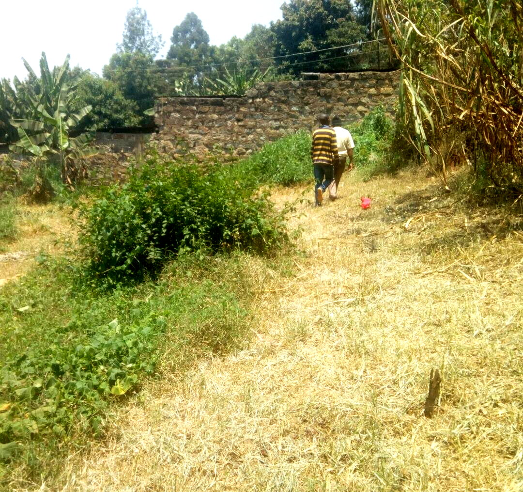 KSh 20M Kinoo Plot
