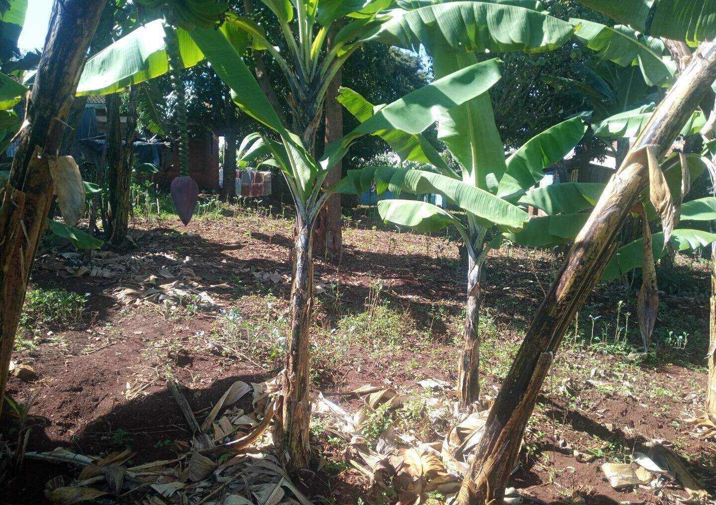 Garden Land in Dagoretti Corner