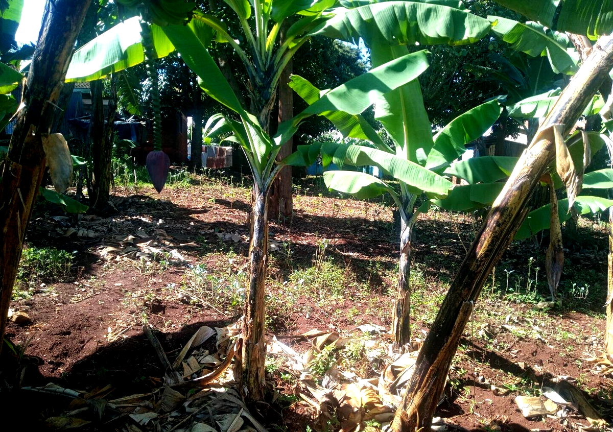 Garden Land in Dagoretti Corner