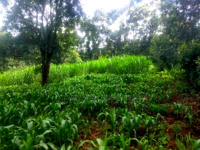 1/4 Kerarapon - Image 2