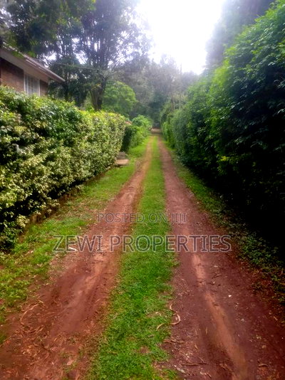 1/4 Kerarapon - Image 3