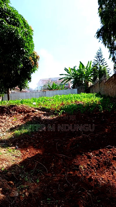 Prime Commercial Plot 1/4 Acre, Kiamumbi - Image 8