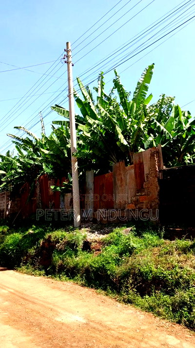 Prime Commercial Plot 1/4 Acre, Kiamumbi - Image 7