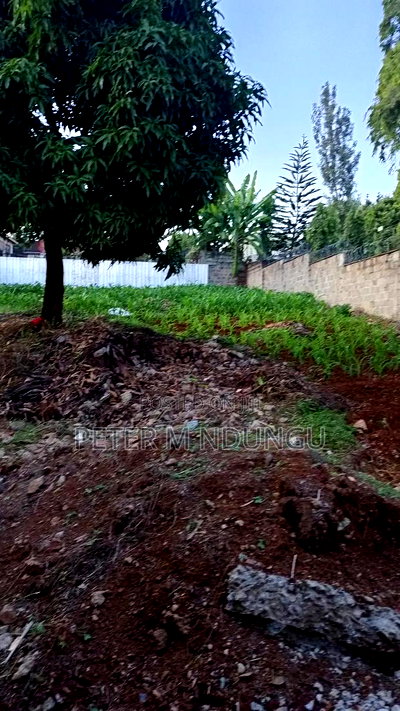 Prime Commercial Plot 1/4 Acre, Kiamumbi - Image 2