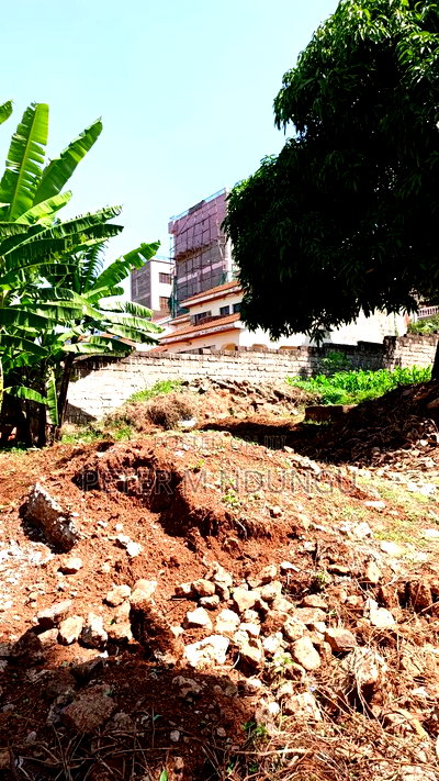 Prime Commercial Plot 1/4 Acre, Kiamumbi - Image 6