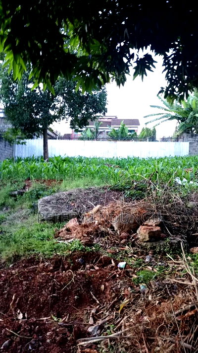 Prime Commercial Plot 1/4 Acre, Kiamumbi - Image 3