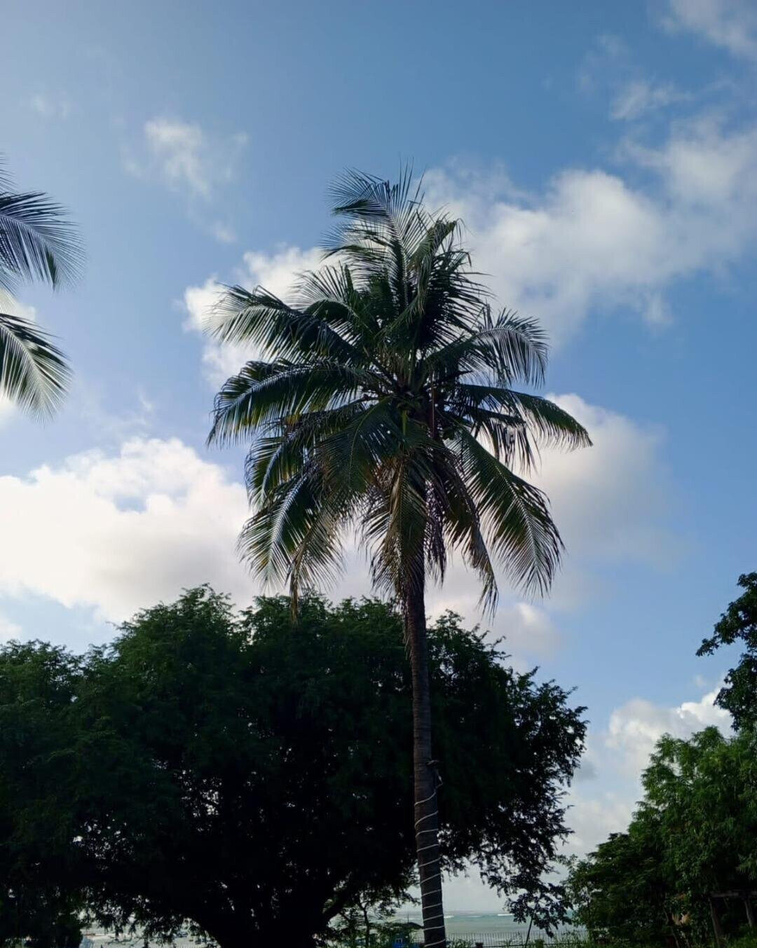 14-Bedroom Beach Townhouse with Boat Access – Malindi