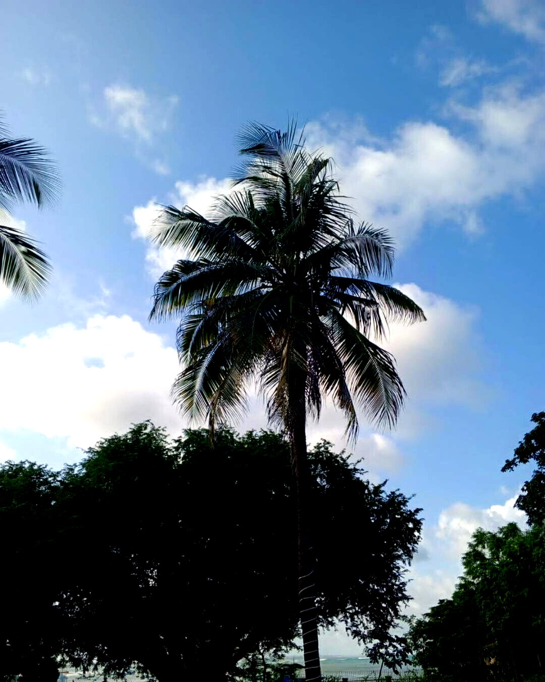 14-Bedroom Beach Townhouse with Boat Access – Malindi