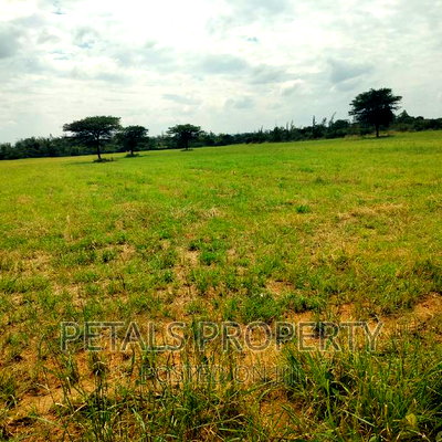 Prime 7.5 Acres for Sale - Image 1