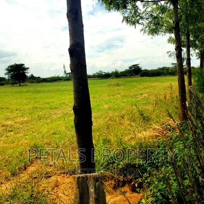 Prime 7.5 Acres for Sale - Image 2