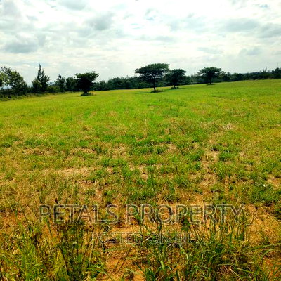 Prime 7.5 Acres for Sale - Image 4