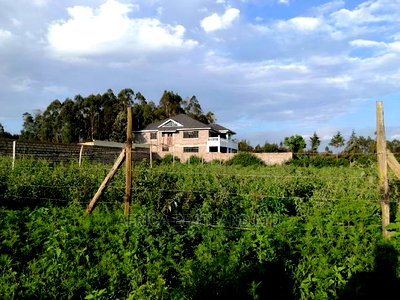 50x100 0.05ha Prime Residential Plot for Sale in Kamangu - Image 2