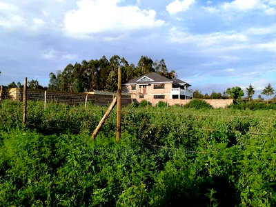 50x100 0.05ha Prime Residential Plot for Sale in Kamangu - Image 10