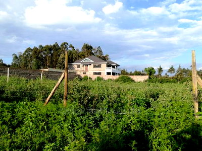 50x100 0.05ha Prime Residential Plot for Sale in Kamangu - Image 1