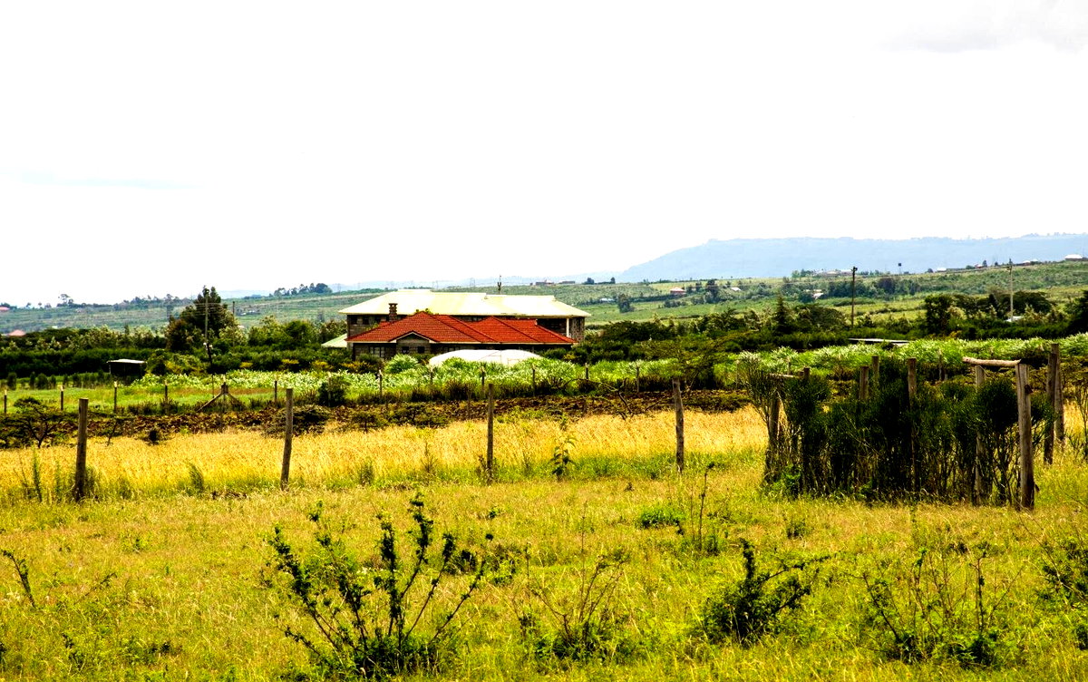Quarter Acre Plot for KSh 420K