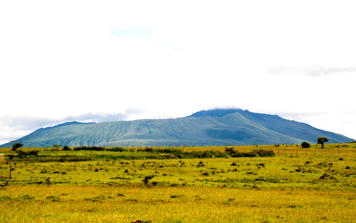 Quarter Acre Plot for KSh 420K