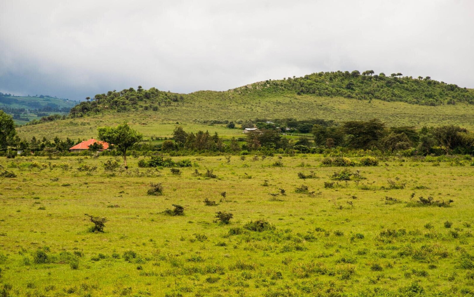 Quarter Acre Plot for KSh 420K