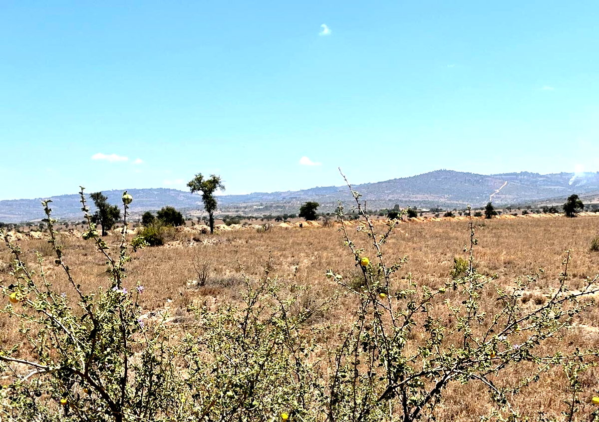 22.5-Acre Land in Lukenya
