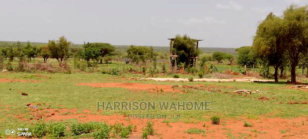 Ngong- Kimuka, Oloshoibor. 1/8 Acre Plots-Ready Title Deeds.