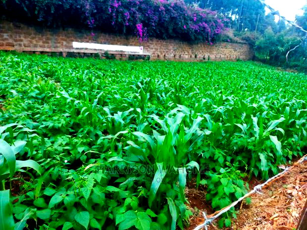 Kiambaa, 1/4 Acre for Sale.Next to St Joseph Catholic Church