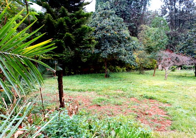 3/4 Acre Riverside Plot for KSh 200M