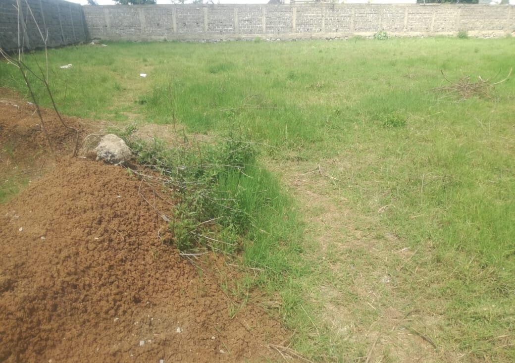 Garden Estate's 1/2 Acre Gem