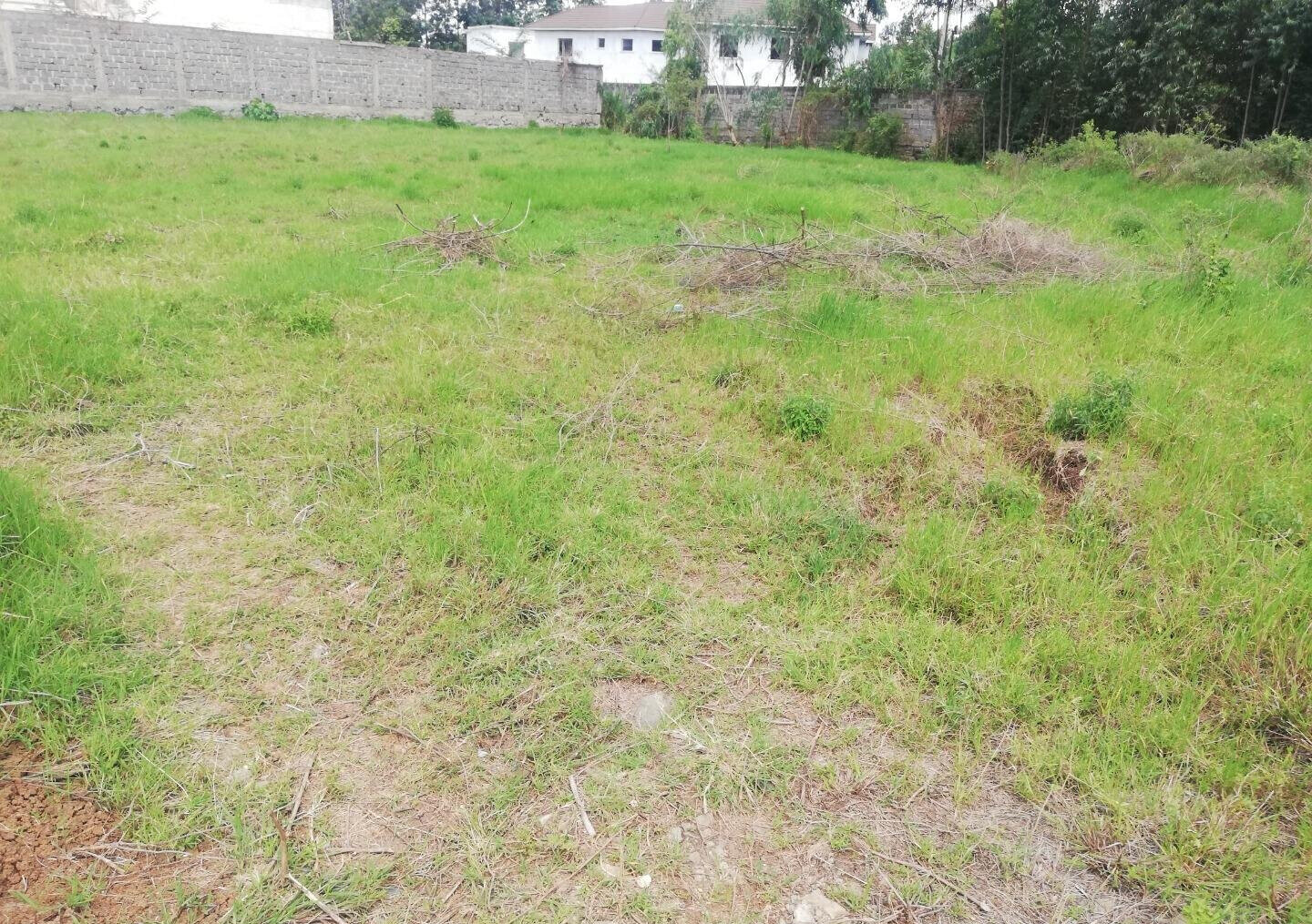 Garden Estate's 1/2 Acre Gem