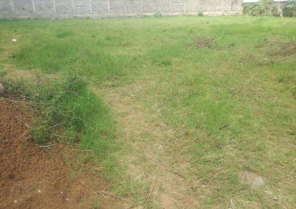 Garden Estate's 1/2 Acre Gem