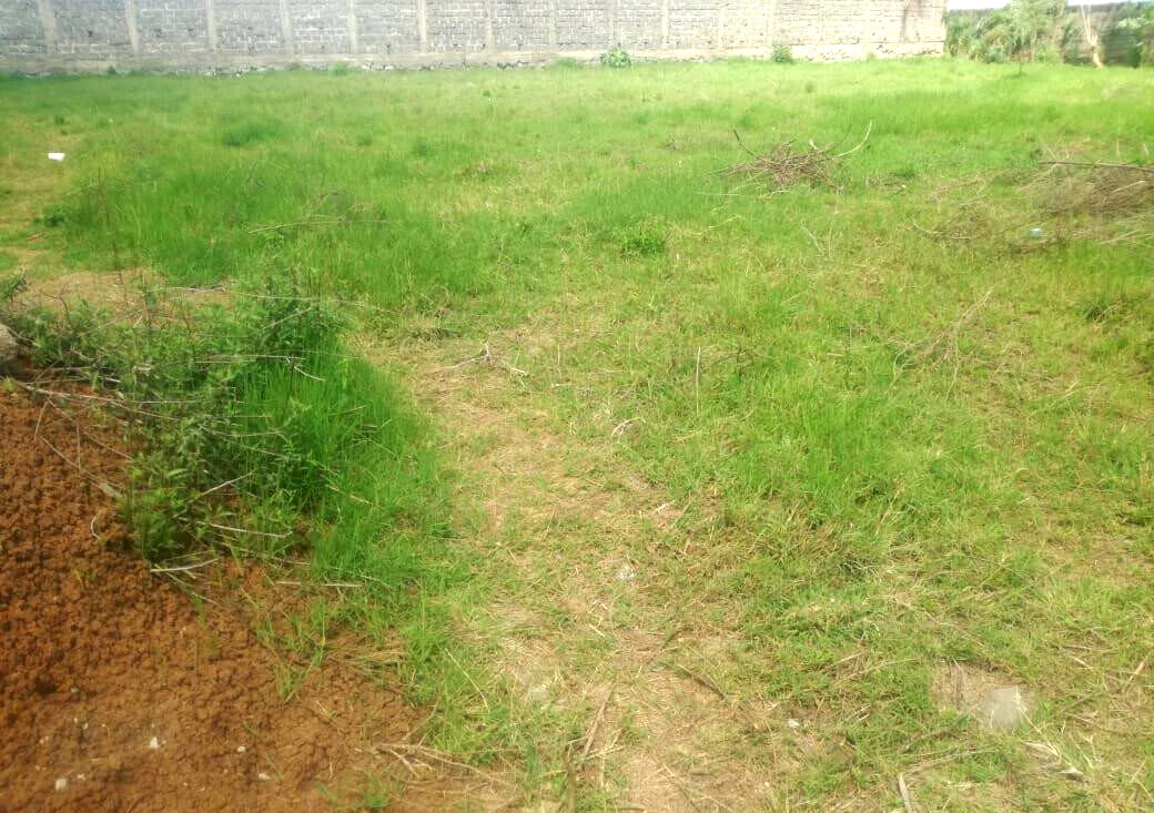 Garden Estate's 1/2 Acre Gem