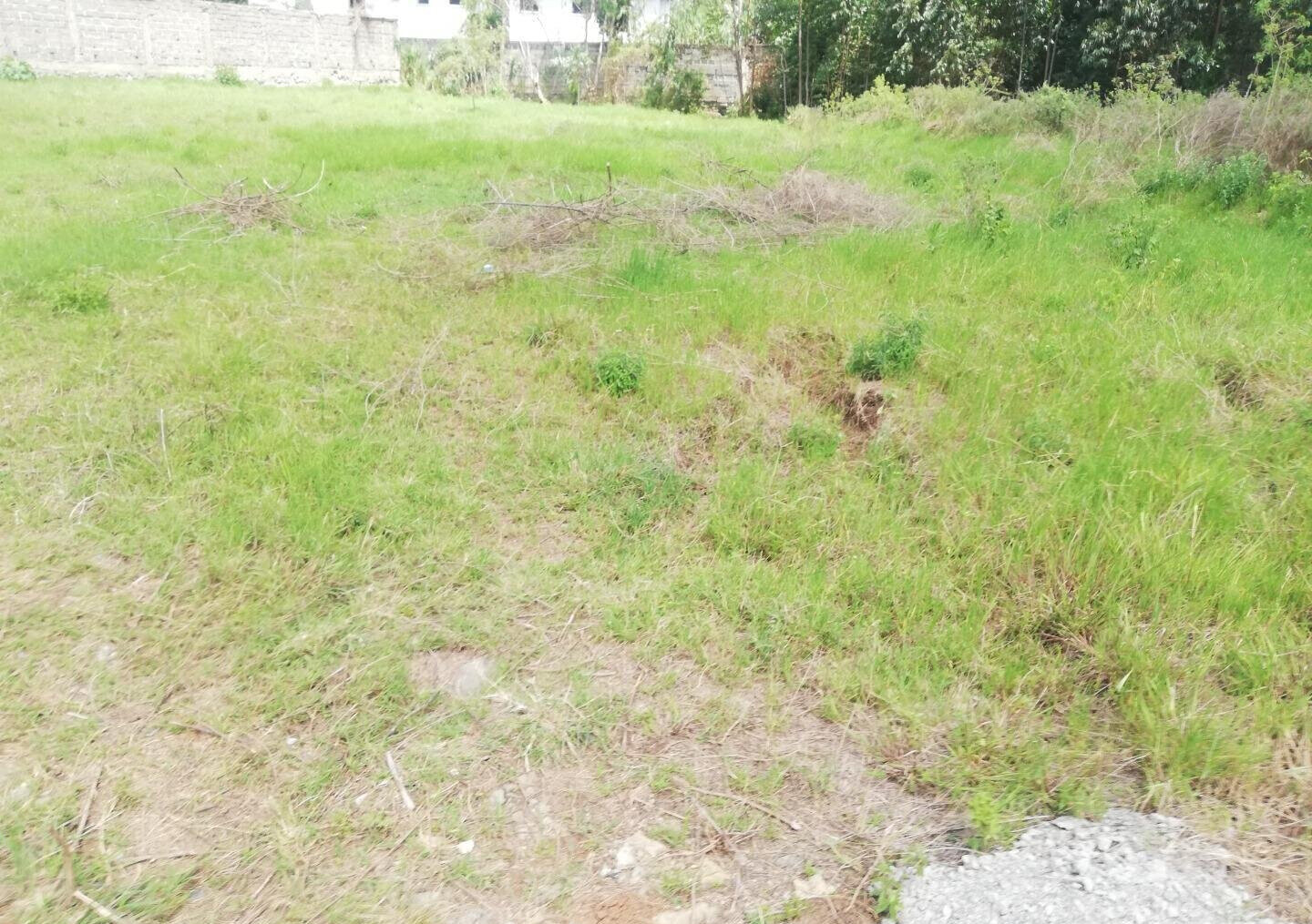 Garden Estate's 1/2 Acre Gem