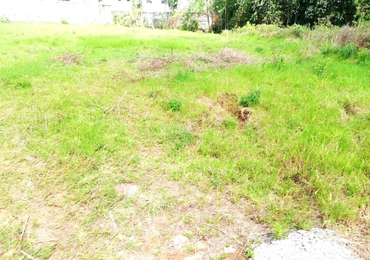 Garden Estate's 1/2 Acre Gem