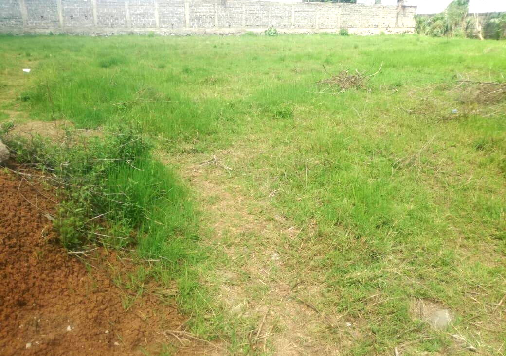 Garden Estate's 1/2 Acre Gem