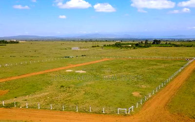 Prime 50 by 100 Plots for Sale in Naivasha, Maaimahiu Highway - Image 2