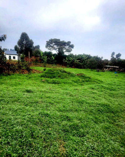 Half Acre Garden Plot with Parking - Limuru