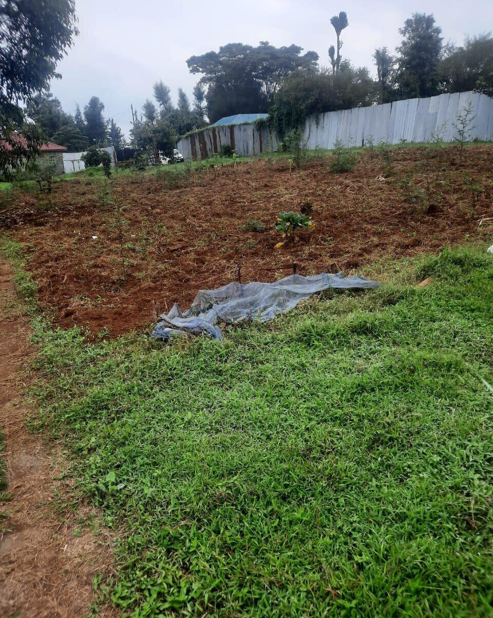 Half Acre Garden Plot with Parking - Limuru
