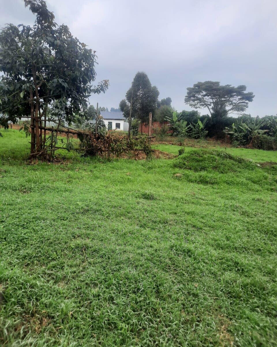 Half Acre Garden Plot with Parking - Limuru